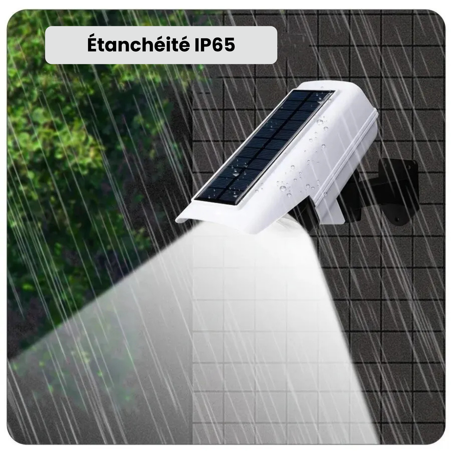 Projecteur LED solaire avec détecteur, fausse caméra