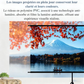 Écran de vidéoprojecteur 4K HD 16:9 avec support unique – Intérieur/extérieur, cinéma maison, bureau et jardin