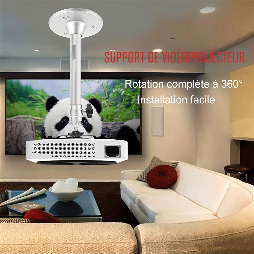 Projecteur fixé au plafond – version française