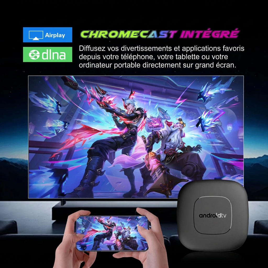Connectique de la box Android TV – version française