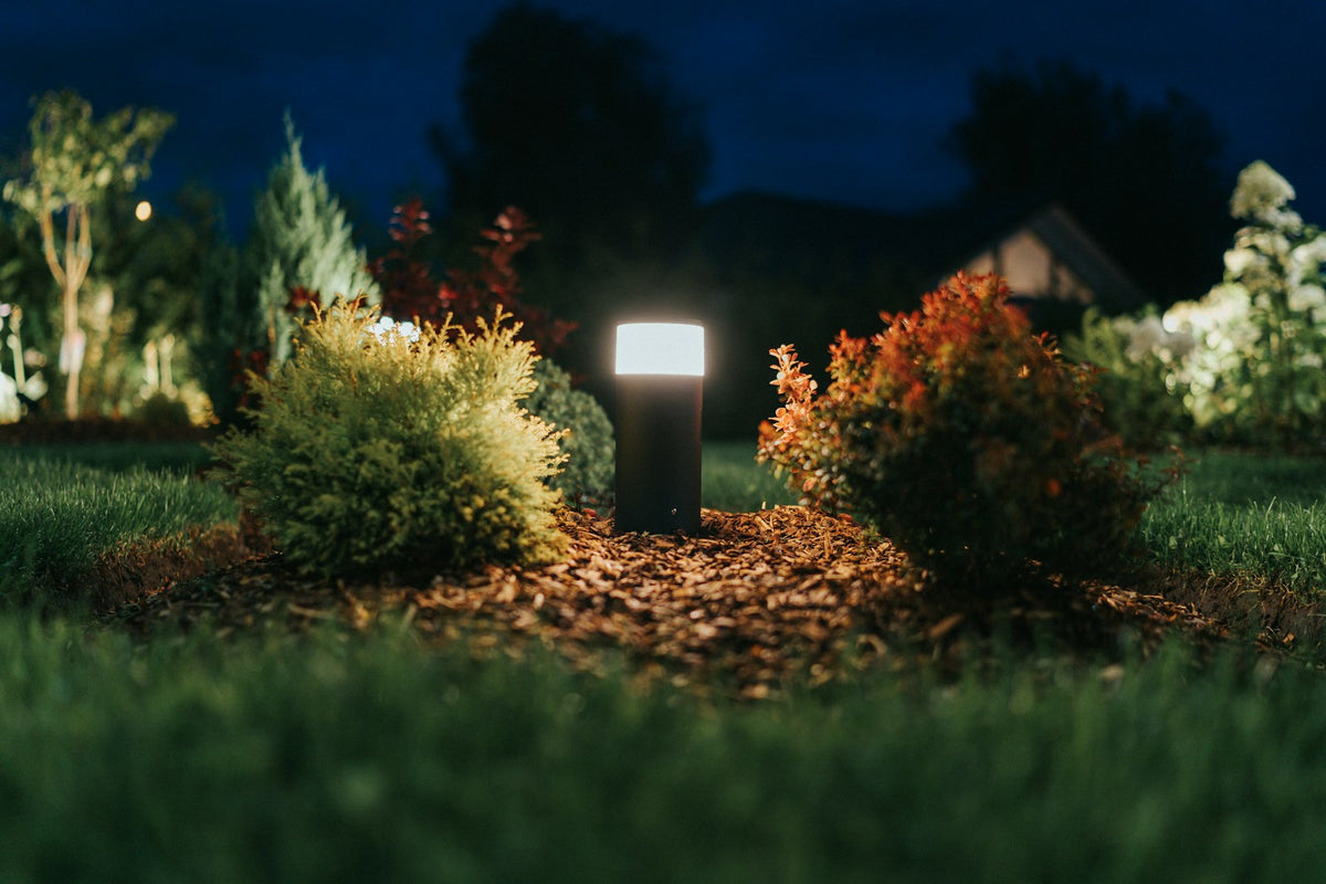 Projecteurs LED